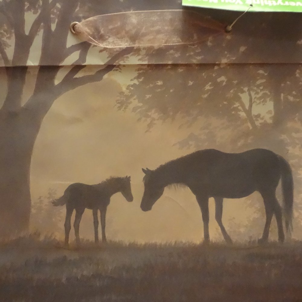 💥Horses Gift Bag with Card and Tissue Paper